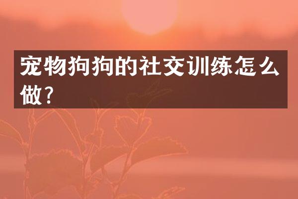 宠物狗狗的社交训练怎么做？