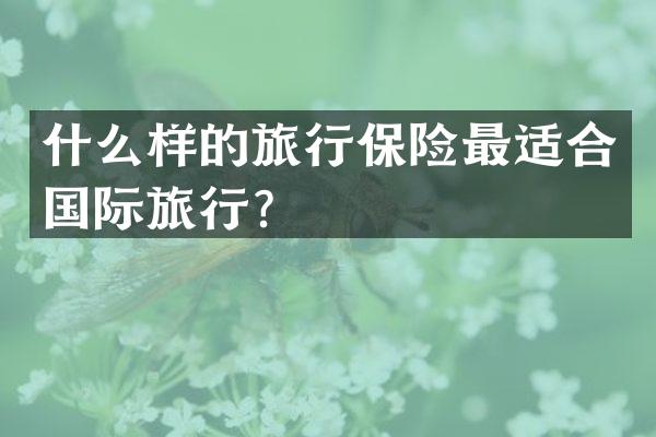 什么样的旅行保险最适合国际旅行？