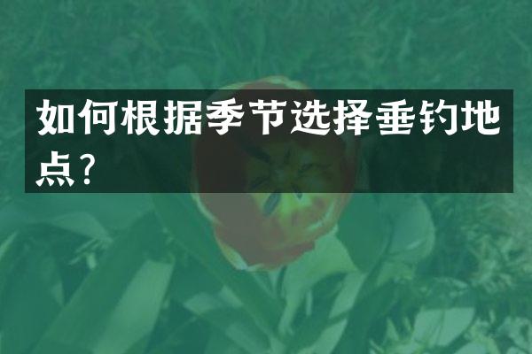 如何根据季节选择垂钓地点？