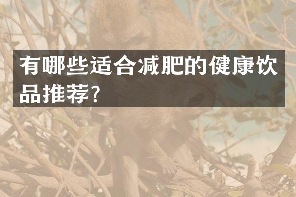 有哪些适合减肥的健康饮品推荐？
