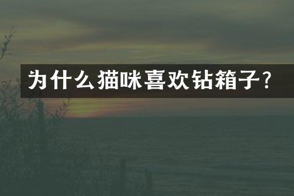 为什么猫咪喜欢钻箱子？