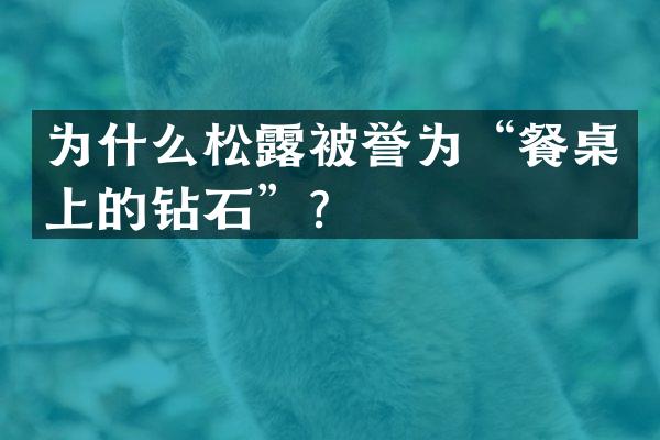 为什么松露被誉为&ldquo;餐桌上的钻石&rdquo;？