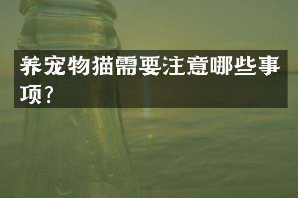 养宠物猫需要注意哪些事项？