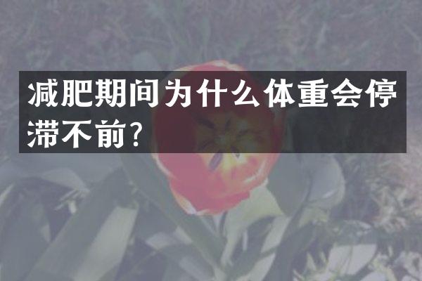 减肥期间为什么体重会停滞不前？
