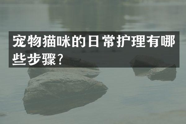 宠物猫咪的日常护理有哪些步骤？