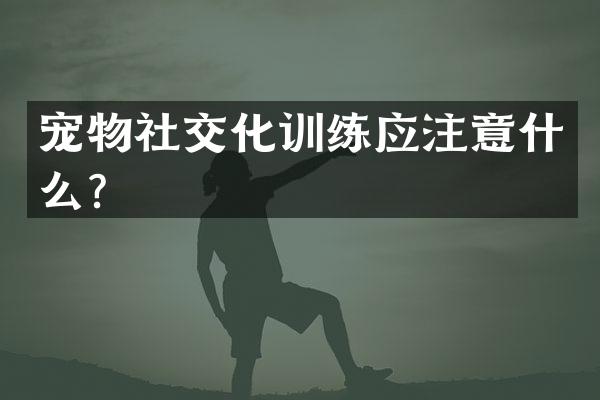 宠物社交化训练应注意什么？