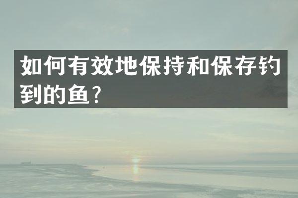 如何有效地保持和保存钓到的鱼？