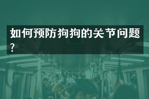 如何预防狗狗的关节问题？
