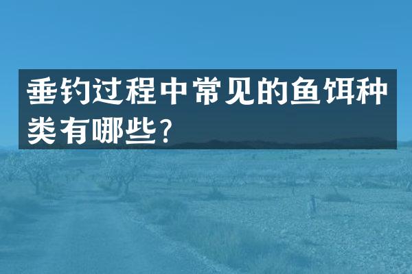 垂钓过程中常见的鱼饵种类有哪些？