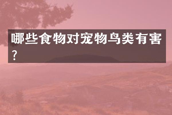 哪些食物对宠物鸟类有害？