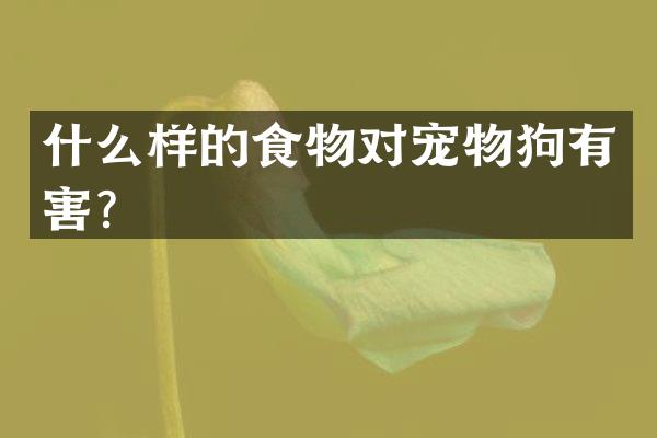 什么样的食物对宠物狗有害？