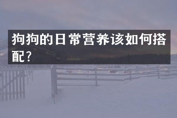 狗狗的日常营养该如何搭配？