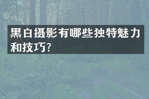 黑白摄影有哪些独特魅力和技巧？