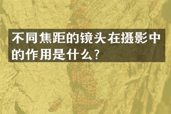 不同焦距的镜头在摄影中的作用是什么？