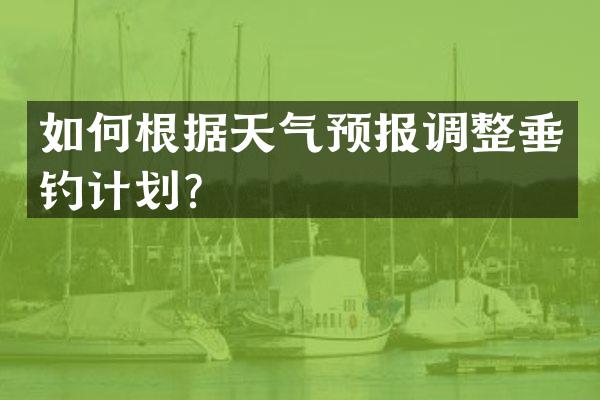 如何根据天气预报调整垂钓计划？