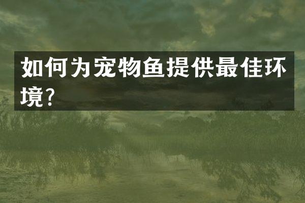 如何为宠物鱼提供最佳环境？