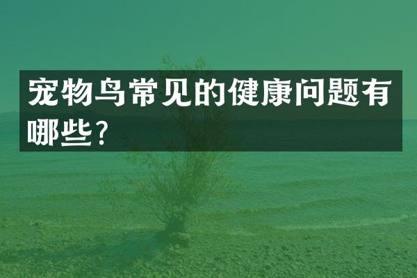 宠物鸟常见的健康问题有哪些？