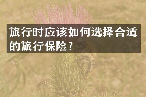 旅行时应该如何选择合适的旅行保险？