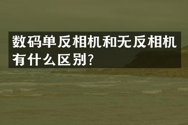 数码单反相机和无反相机有什么区别？