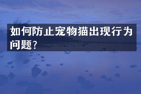 如何防止宠物猫出现行为问题？