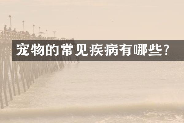 宠物的常见疾病有哪些？