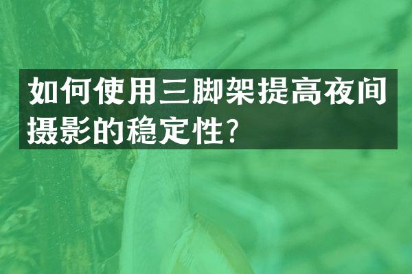 如何使用三脚架提高夜间摄影的稳定性？