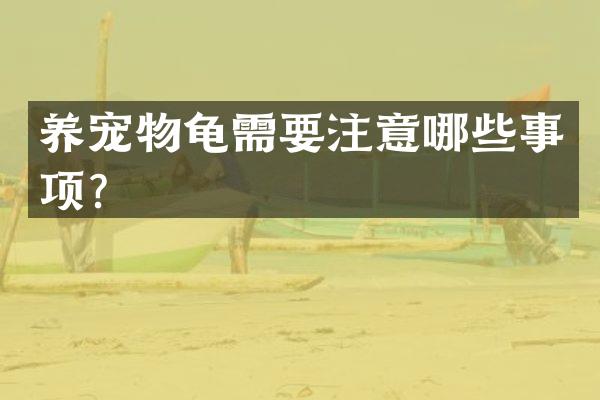 养宠物龟需要注意哪些事项？