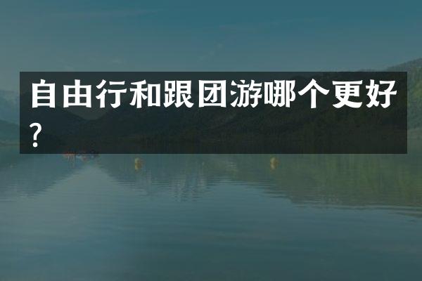 自由行和跟团游哪个更好？