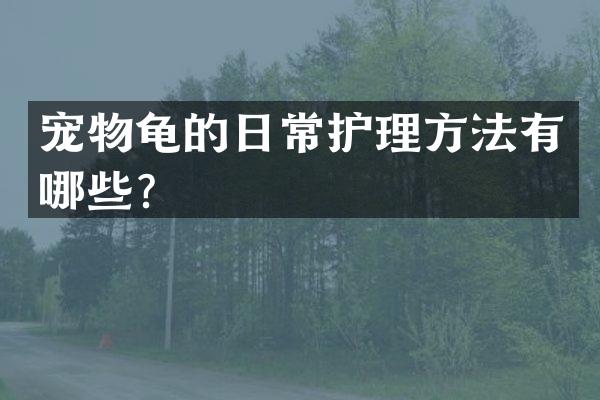 宠物龟的日常护理方法有哪些？