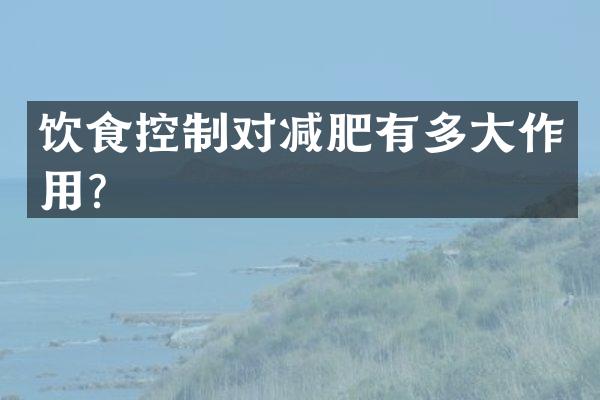 饮食控制对减肥有多大作用？