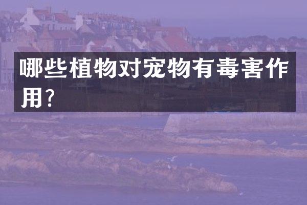 哪些植物对宠物有毒害作用？