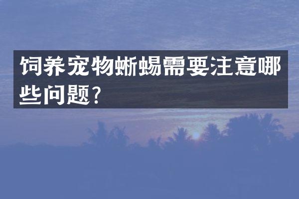 饲养宠物蜥蜴需要注意哪些问题？