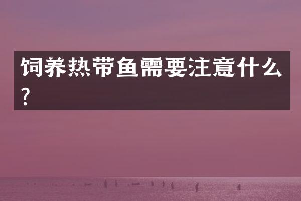 饲养热带鱼需要注意什么？