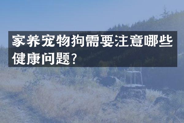 家养宠物狗需要注意哪些健康问题？