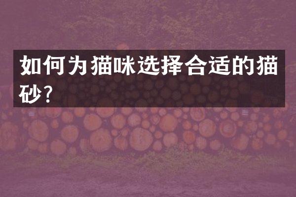 如何为猫咪选择合适的猫砂？