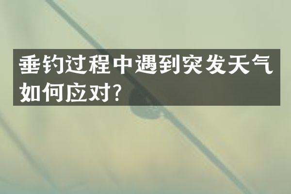 垂钓过程中遇到突发天气如何应对？