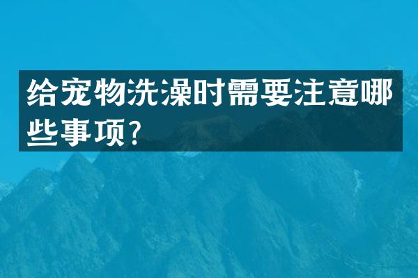 给宠物洗澡时需要注意哪些事项？