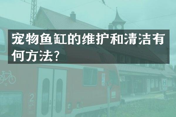 宠物鱼缸的维护和清洁有何方法？