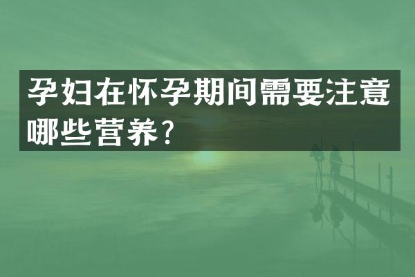 孕妇在怀孕期间需要注意哪些营养？