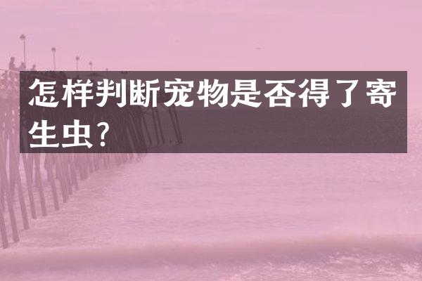 怎样判断宠物是否得了寄生虫？