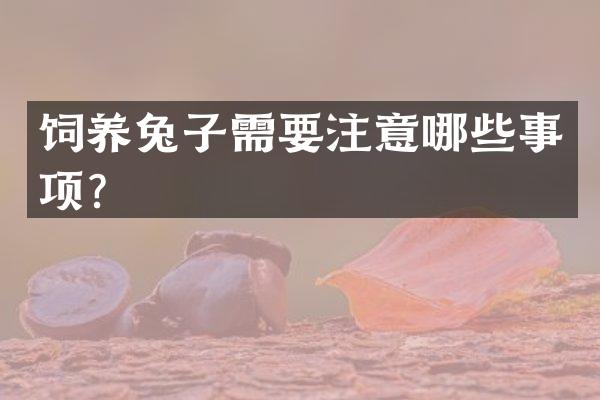 饲养兔子需要注意哪些事项？