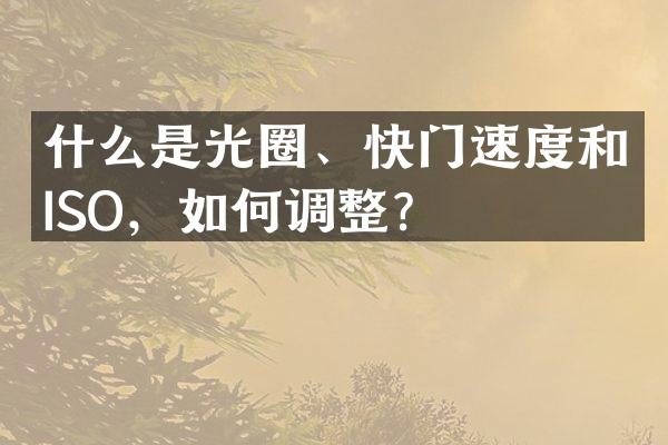 什么是光圈、快门速度和ISO，如何调整？