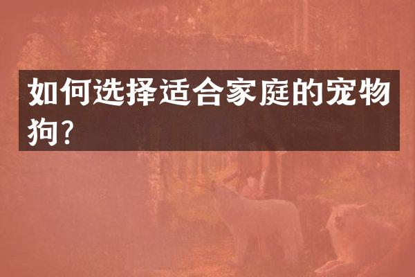 如何选择适合家庭的宠物狗？