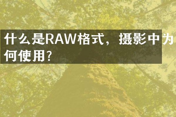 什么是RAW格式，摄影中为何使用？