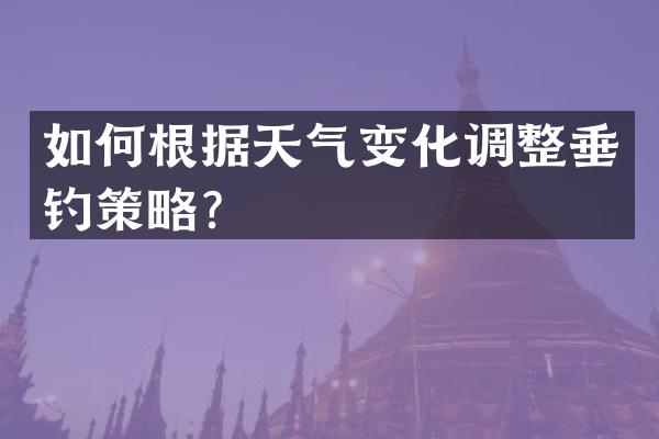 如何根据天气变化调整垂钓策略？