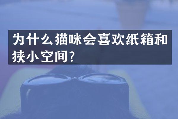 为什么猫咪会喜欢纸箱和狭小空间？