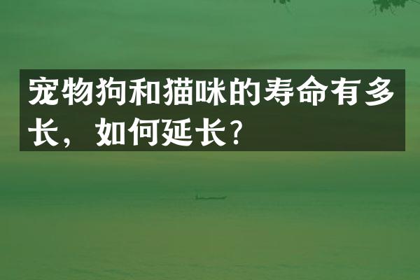 宠物狗和猫咪的寿命有多长，如何延长？