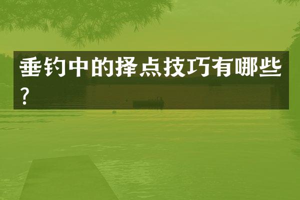 垂钓中的择点技巧有哪些？