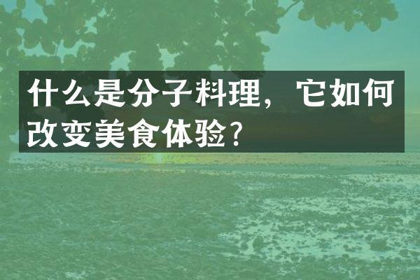 什么是分子料理，它如何改变美食体验？