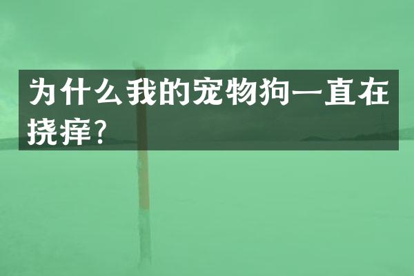 为什么我的宠物狗一直在挠痒？